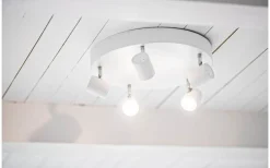 Alpha XL Takspotlight 5L