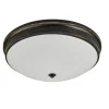 Balder Plafond 40cm Svart/Guld