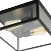 Charterhouse Plafond 36cm 2L Svart/Klar