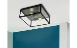 Charterhouse Plafond 36cm 2L Svart/Klar