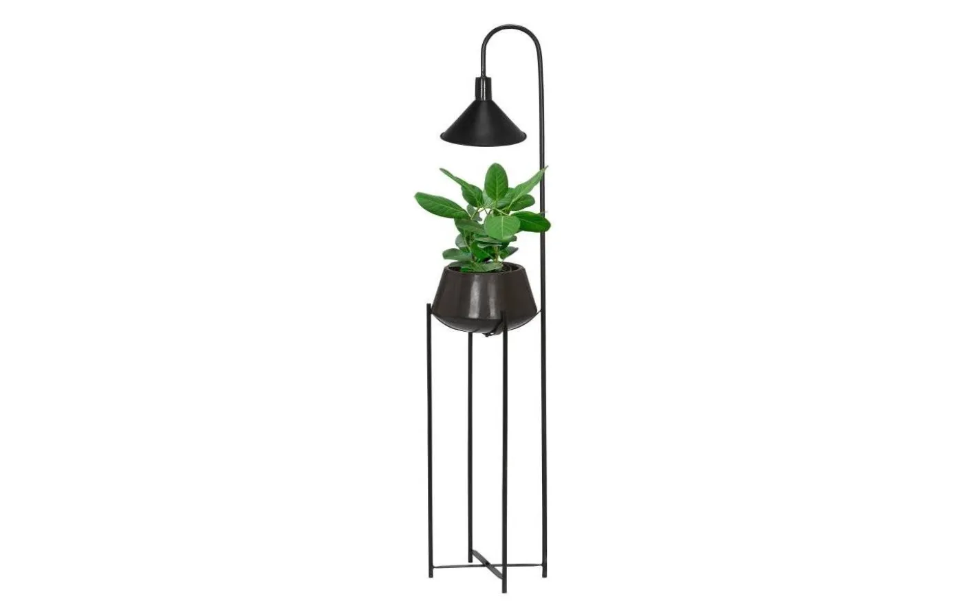 Cornelia Golvlampa med blomkruka 140cm Svart