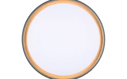 Felis Plafond LED 40cm svart/guld