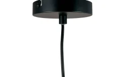 Flora Taklampa 60cm Mattsvart