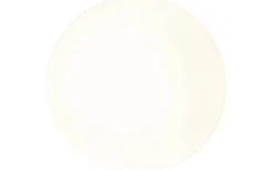 Integra Plafond 32cm LED 3000K 1500lm 17W(100W) IP20