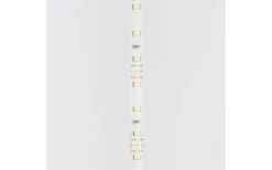 LEDstrip 12V 5m 3000K 12w/m IP54