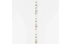 LEDstrip 12V 5m 3000K 12w/m IP20