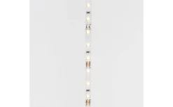 LEDstrip 12V 5m 4000K 12w/m IP20