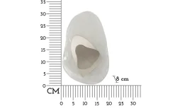 Ocean Vägglampa 31cm Silver