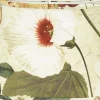 Omera Oval Lampskärm 20cm Botany Offwhite