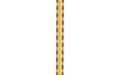 Orion LED-Strip 12V 5M 10W/m 3000K
