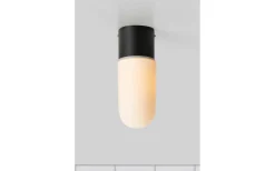 Zen Taklampa Badrum IP44 Svart/Opal