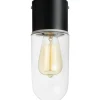 Zen Taklampa Badrum IP44 Svart/Klar